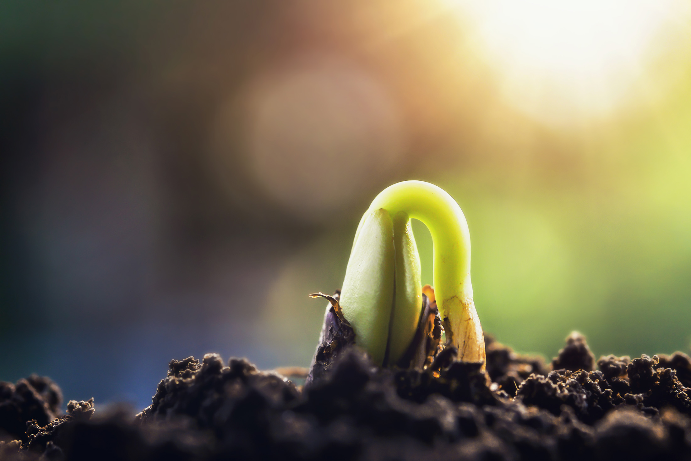The Operational Foundation You Build Early Matters